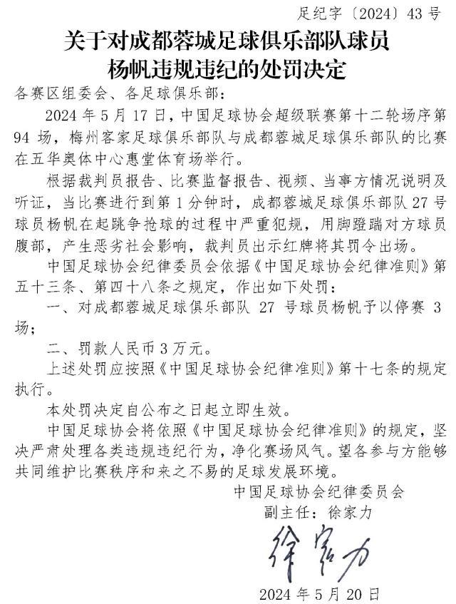 开云娱乐-足协罚单：杨帆蹬踹对方球员腹部 停赛3场罚款3万